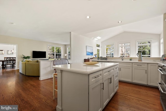 kitchen with dark wood finished floors, a breakfast bar area, lofted ceiling, light countertops, and a kitchen island