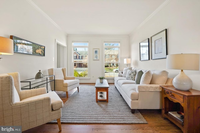 living area featuring crown molding and wood finished floors