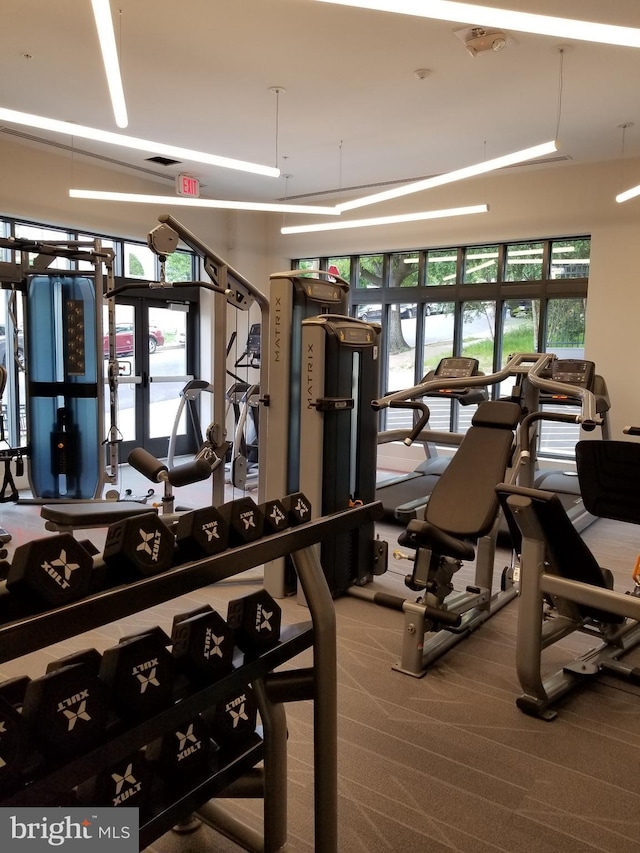 989 S Buchanan St Unit 320, Arlington, VA 22204 - gym featuring french doors and carpet