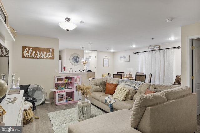 living room featuring light wood-style floors