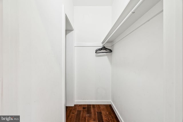 walk in closet featuring dark wood-style flooring