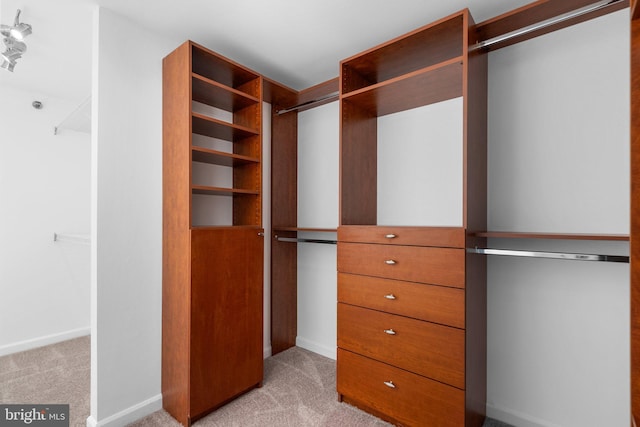 spacious closet featuring light carpet