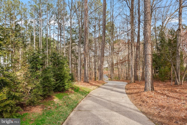 surrounding community featuring a forest view