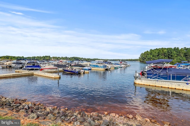 dock area featuring a water view