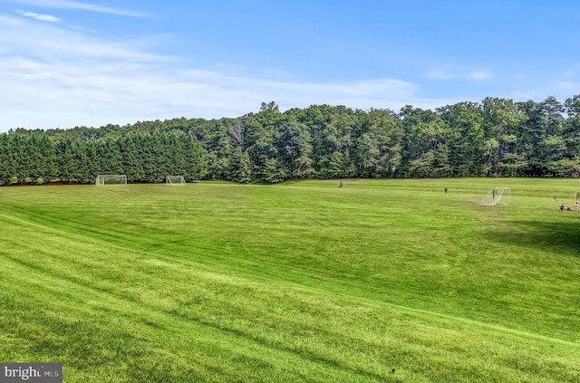 view of yard featuring a wooded view