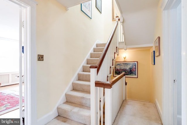 staircase with radiator heating unit, carpet flooring, and baseboards