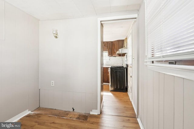 hallway with light wood-style flooring and a wealth of natural light