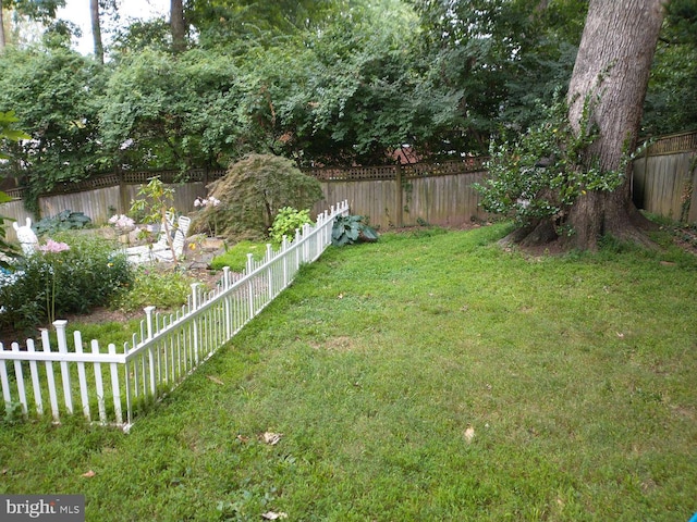 view of yard featuring a fenced backyard