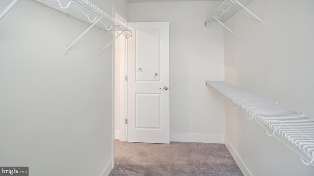 walk in closet featuring carpet