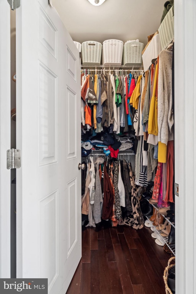 walk in closet featuring wood finished floors