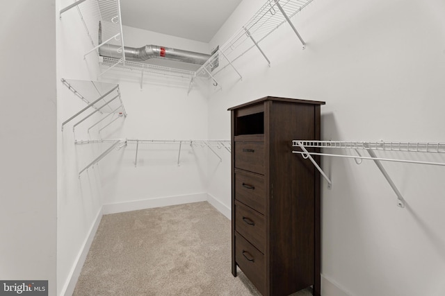 walk in closet featuring light colored carpet