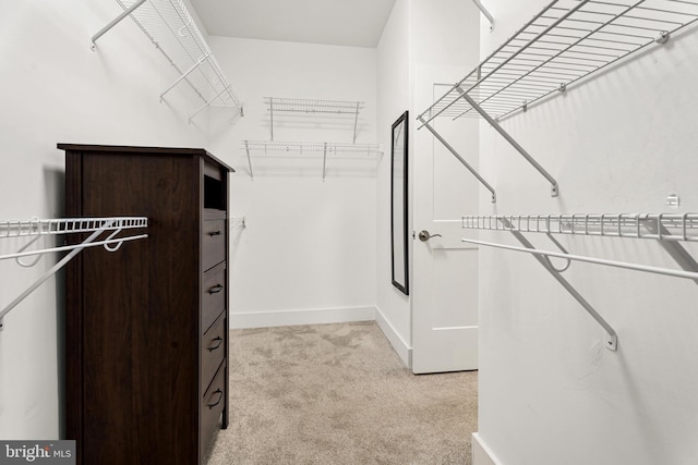 spacious closet with light carpet