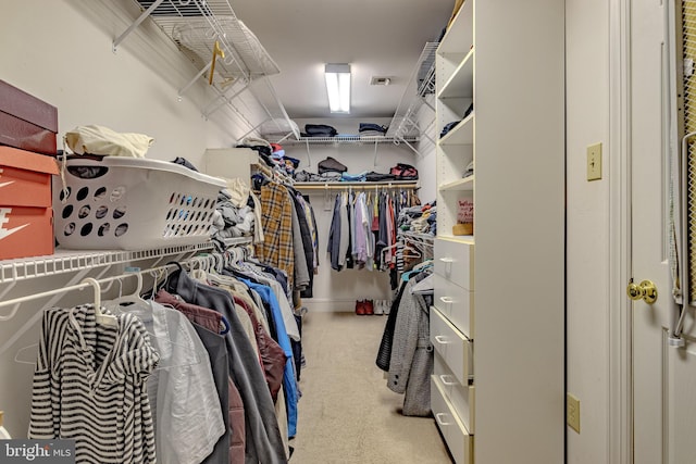 2 Wilderness Dr, Medford, NJ 08055 - walk in closet with carpet