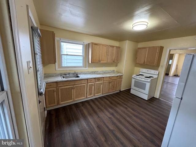 kitchen featuring white appliances, dark wood finished floors, light countertops, and a sink