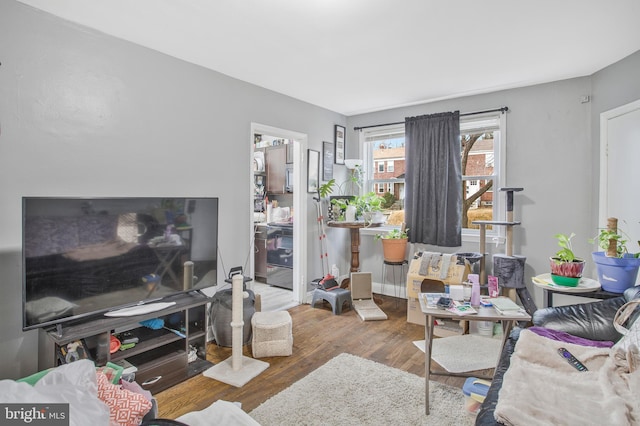 living room featuring wood finished floors