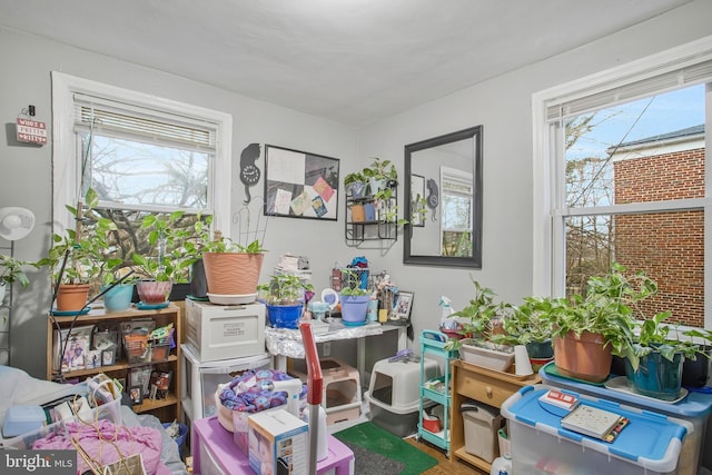 office area featuring a wealth of natural light