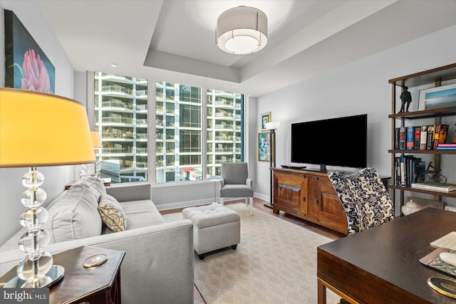 living room featuring a raised ceiling and baseboards