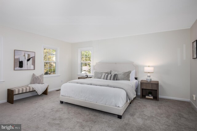 bedroom with baseboards and carpet floors