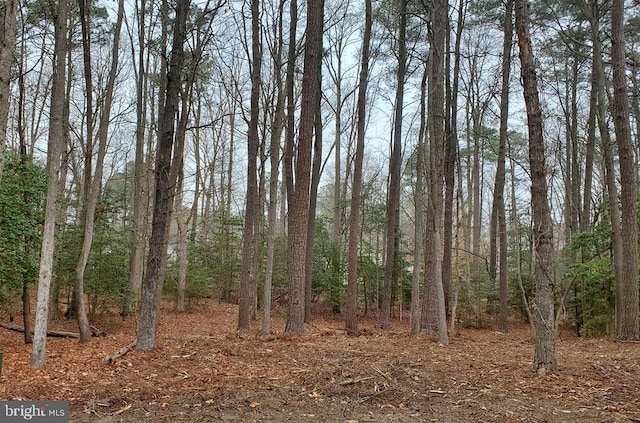 LOT2055 Neptune Ct, Greenbackville VA, 23356 land for sale