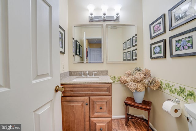 bathroom featuring wood finished floors and vanity