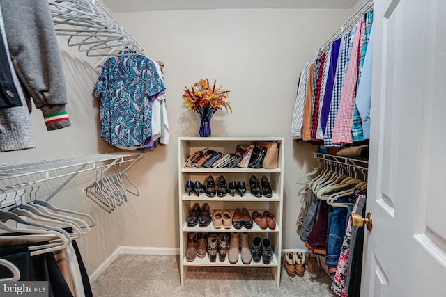 walk in closet featuring carpet flooring