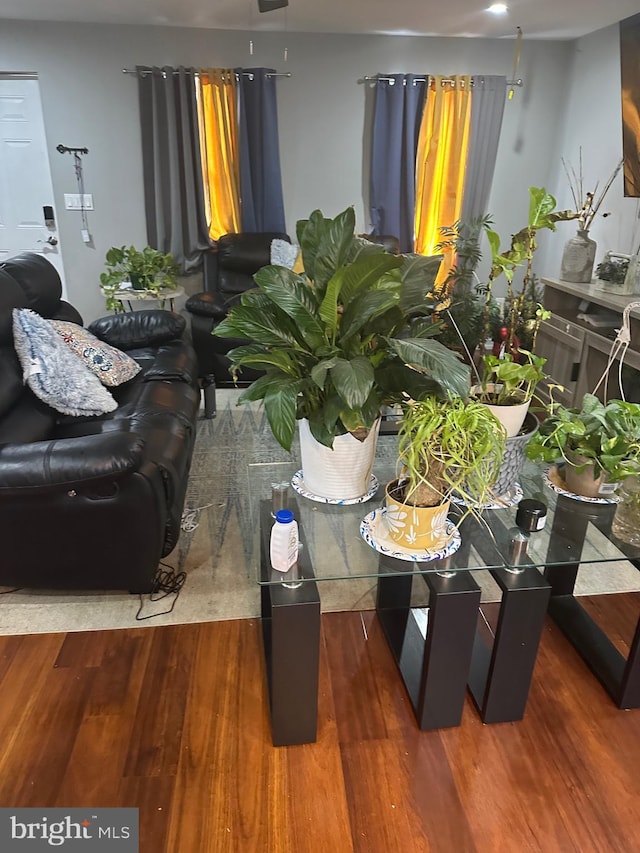 living room with dark wood-style floors