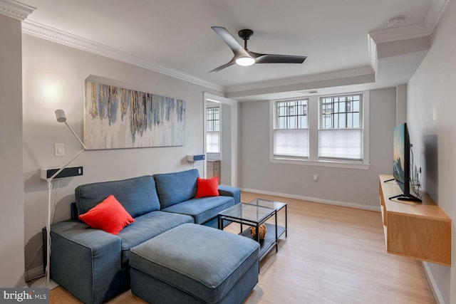 living area featuring ceiling fan, light wood finished floors, baseboards, and crown molding