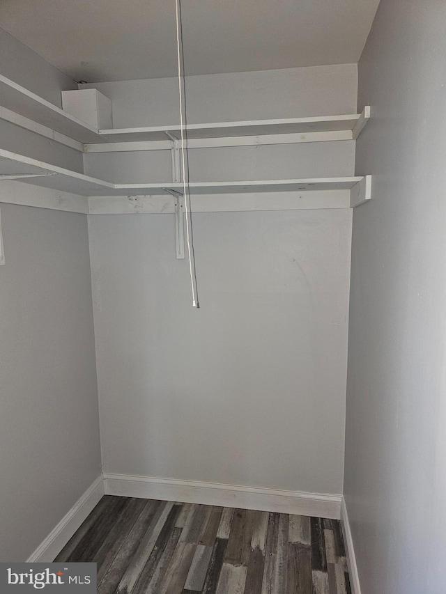 walk in closet featuring dark wood-type flooring