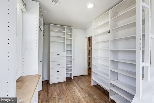 walk in closet with visible vents and wood finished floors