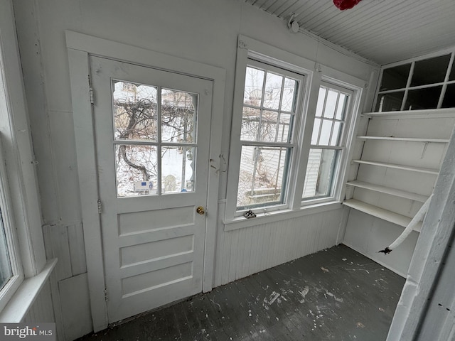 entryway featuring dark wood-style floors and a healthy amount of sunlight