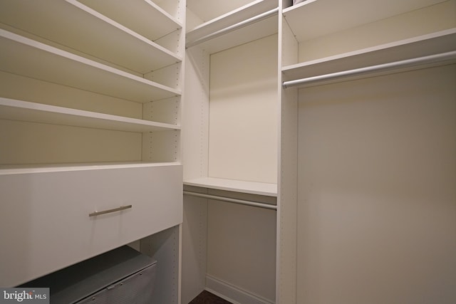 view of walk in closet