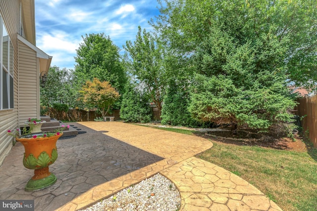 view of yard featuring a patio area and a fenced backyard