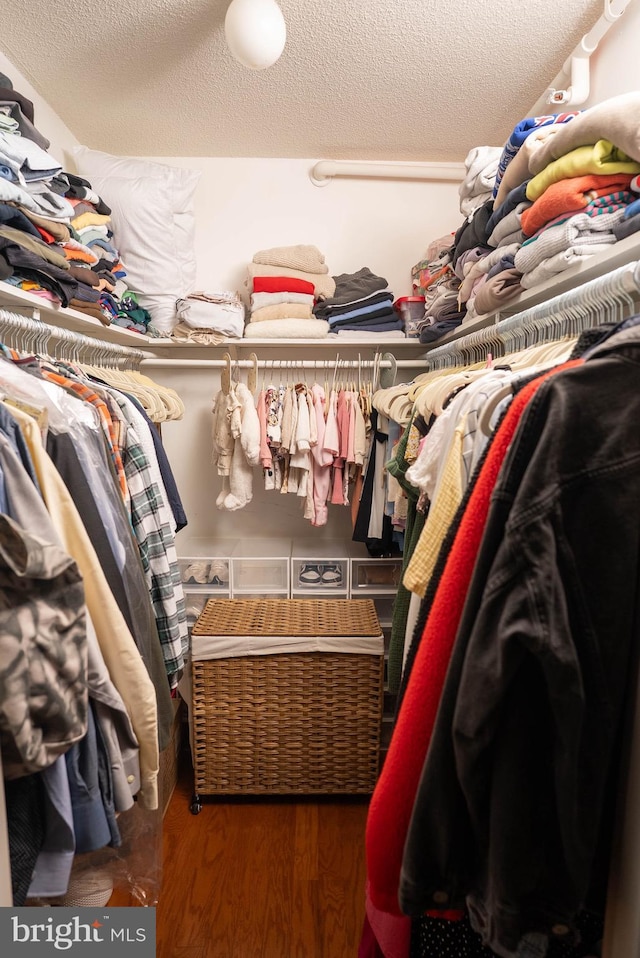 walk in closet with dark wood-style floors