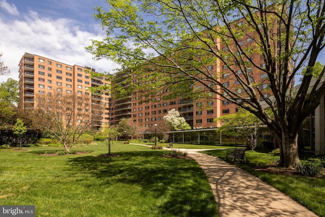view of community with a lawn