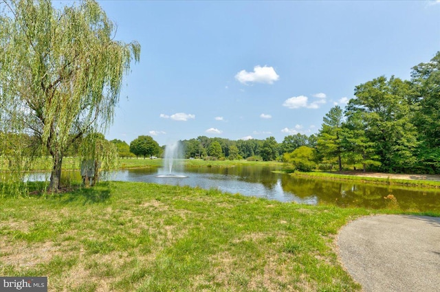 view of water feature