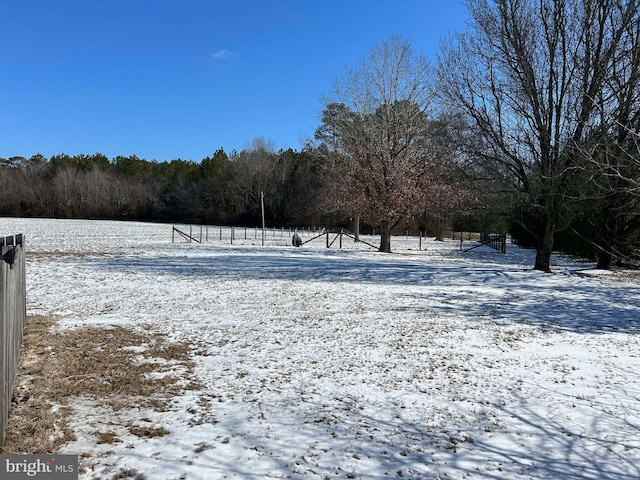 view of snowy yard