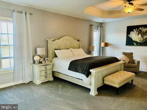 bedroom featuring baseboards, multiple windows, a raised ceiling, and dark carpet