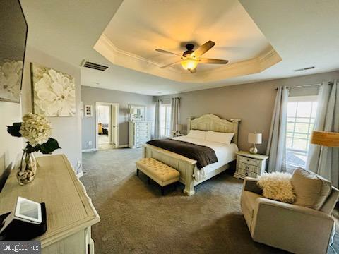 bedroom with visible vents, a raised ceiling, carpet flooring, and crown molding