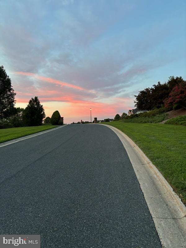 view of road with curbs