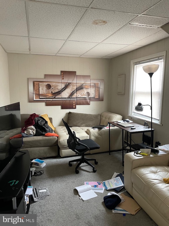 living area with a drop ceiling and carpet flooring