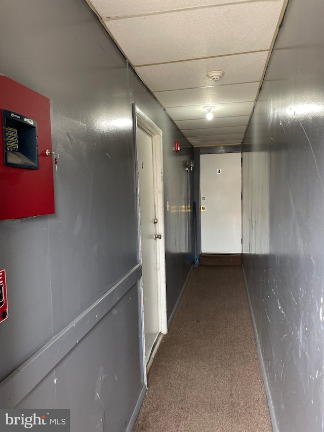 hall with carpet, a paneled ceiling, and baseboards