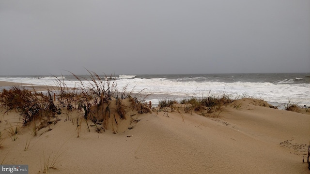 view of water feature featuring a beach view