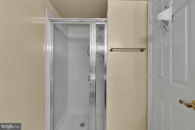 bathroom featuring a shower stall