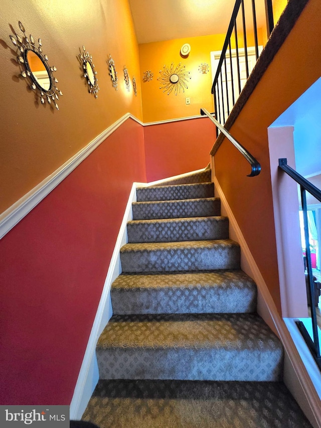 stairway with carpet flooring