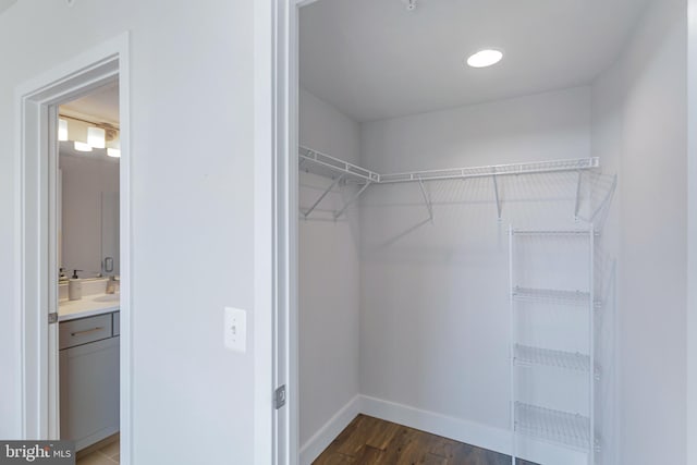 spacious closet featuring dark wood-style floors