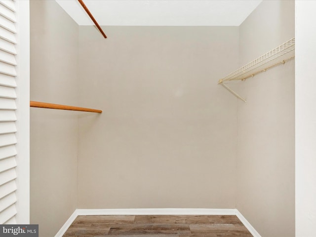 spacious closet featuring wood finished floors