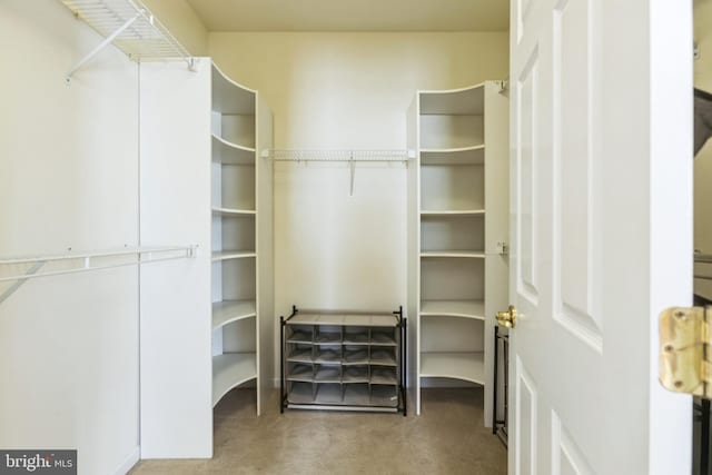 view of spacious closet