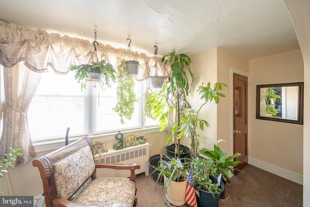 sunroom with radiator