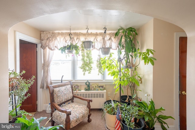 living area featuring arched walkways, radiator, and carpet