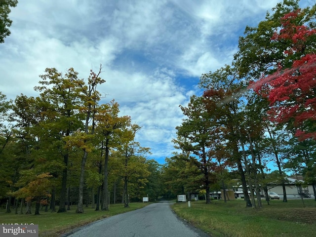 view of road